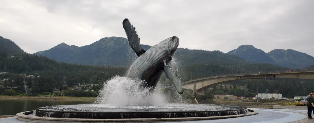 Whale